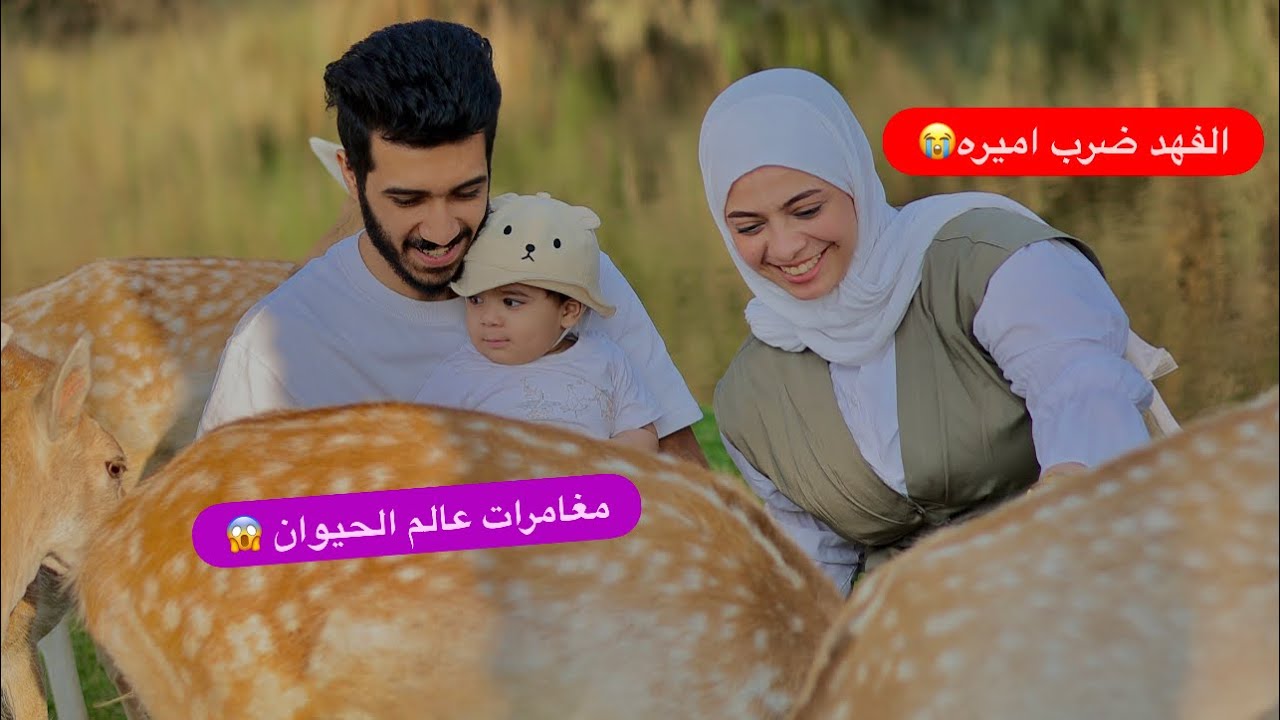 روحنا اكبر غابة حيوانات في مصر 🥰👏🏻 