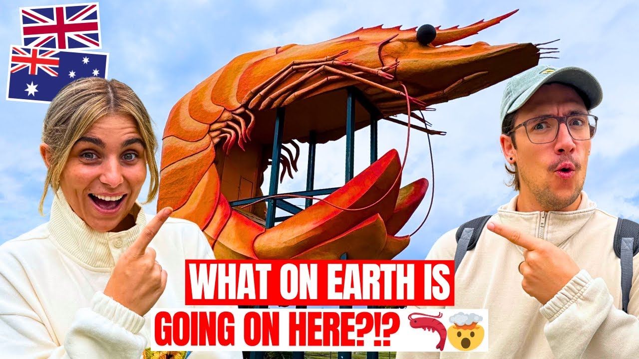 Brits React to Australia's Giant Prawn for the First Time?! 🦐🇦🇺