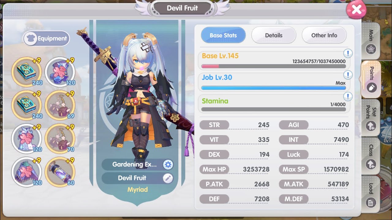 ROX SEA - Elemental Master Auto Spell Build and DPS 