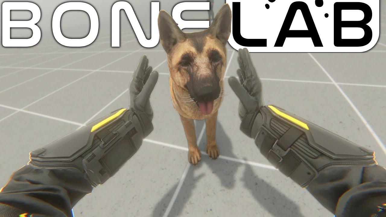 Emergency Bonelab Mods Your Dog Isn't Allowed To Know About