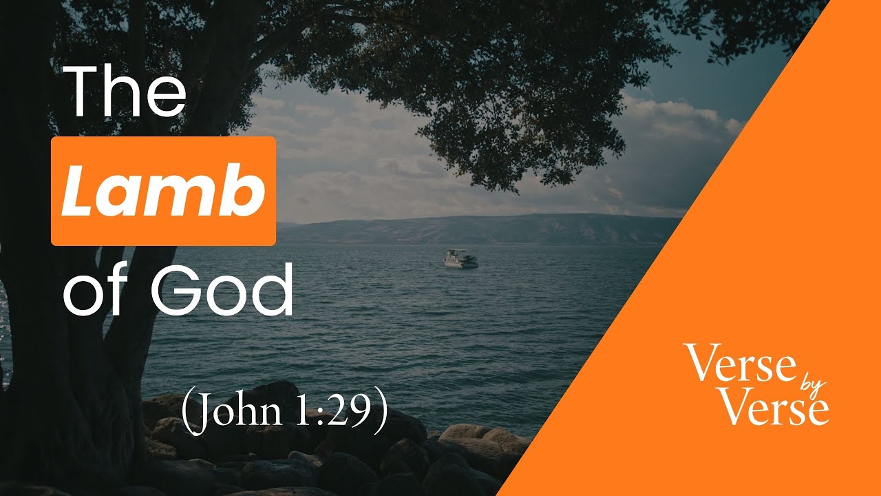 The Lamb of God (John 1:29) | Verse by Verse