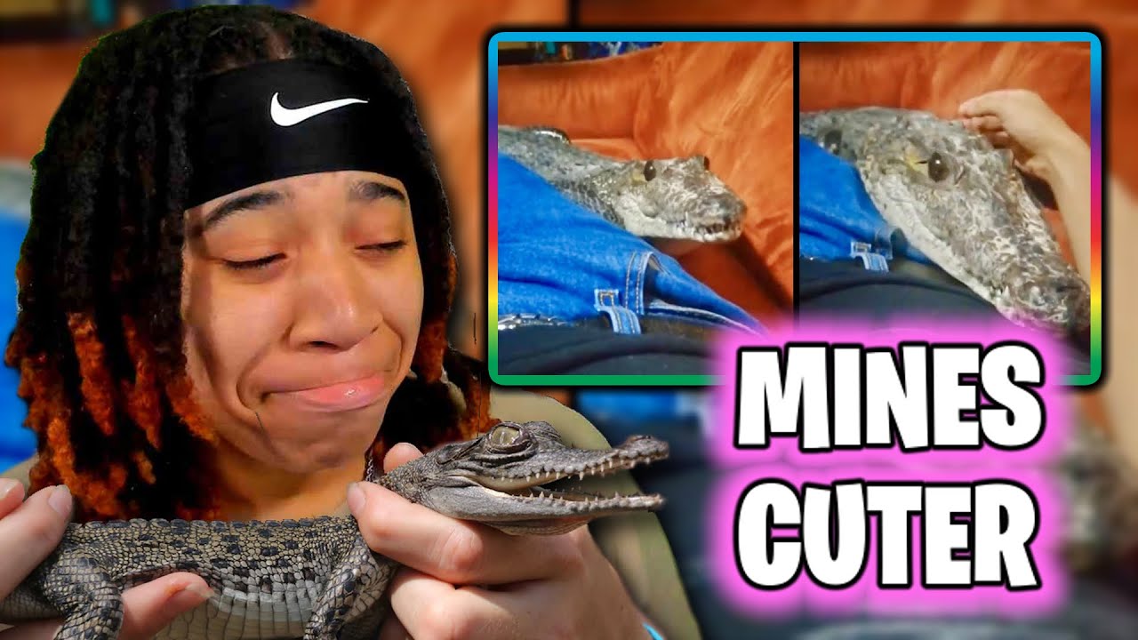 3 Daily Dose Of Internet Videos.. A Fish With A See Through Head?! 😳