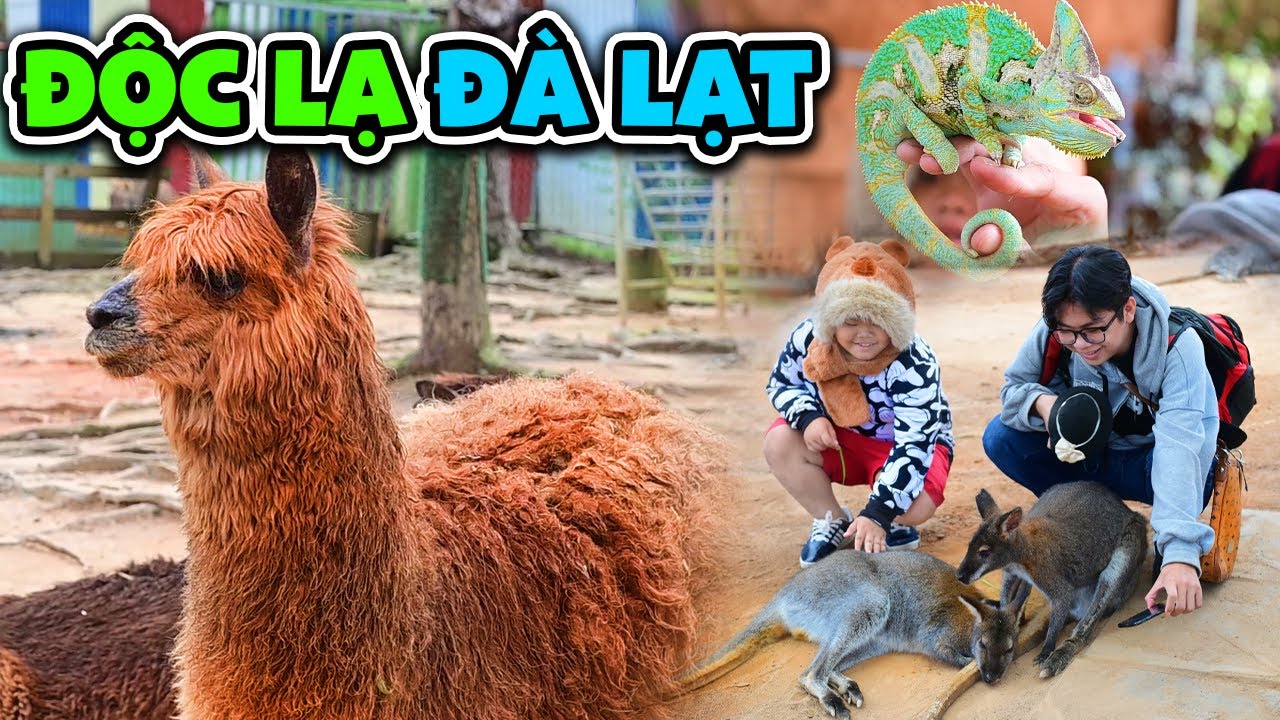 Sở Thú ĐỘC LẠ Chỉ Có Tại ĐÀ LẠT!! ZooDoo