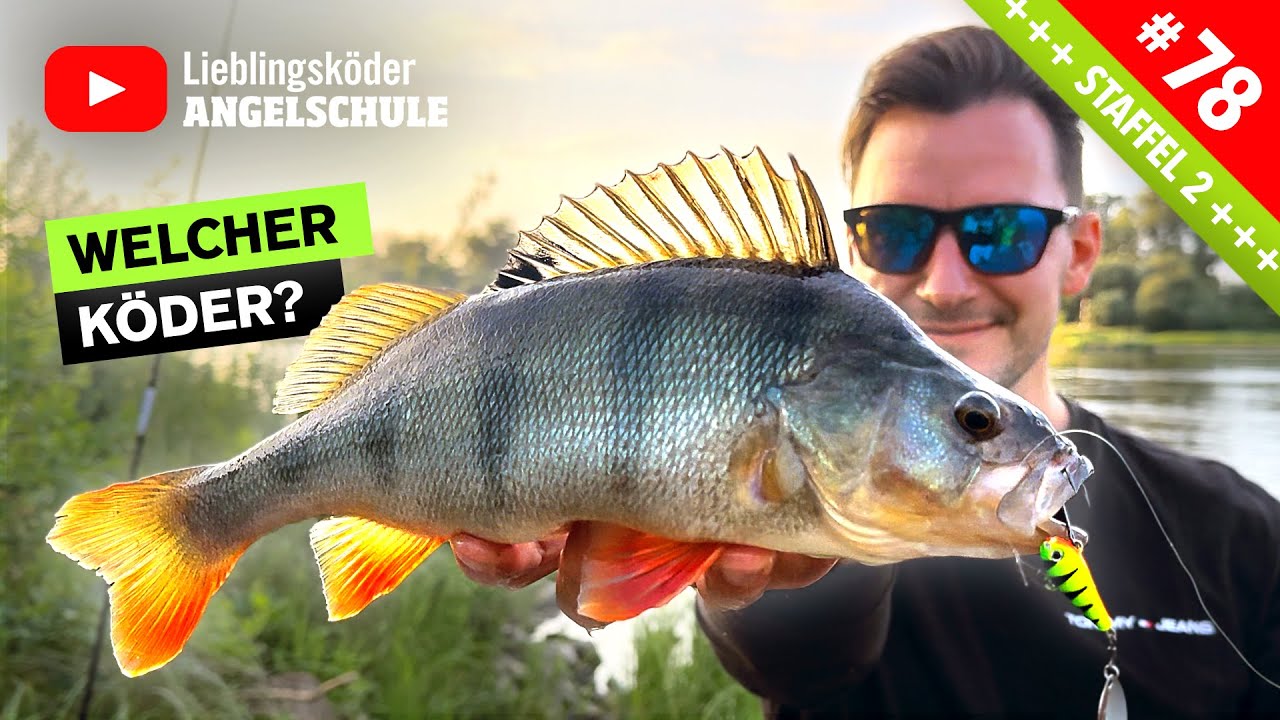 BARSCHANGELN im Herbst 🤩🎣👍🏼