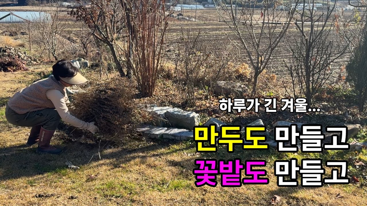 찐만두 군만두 만들기/꽃밭 정리하기/시골풍경