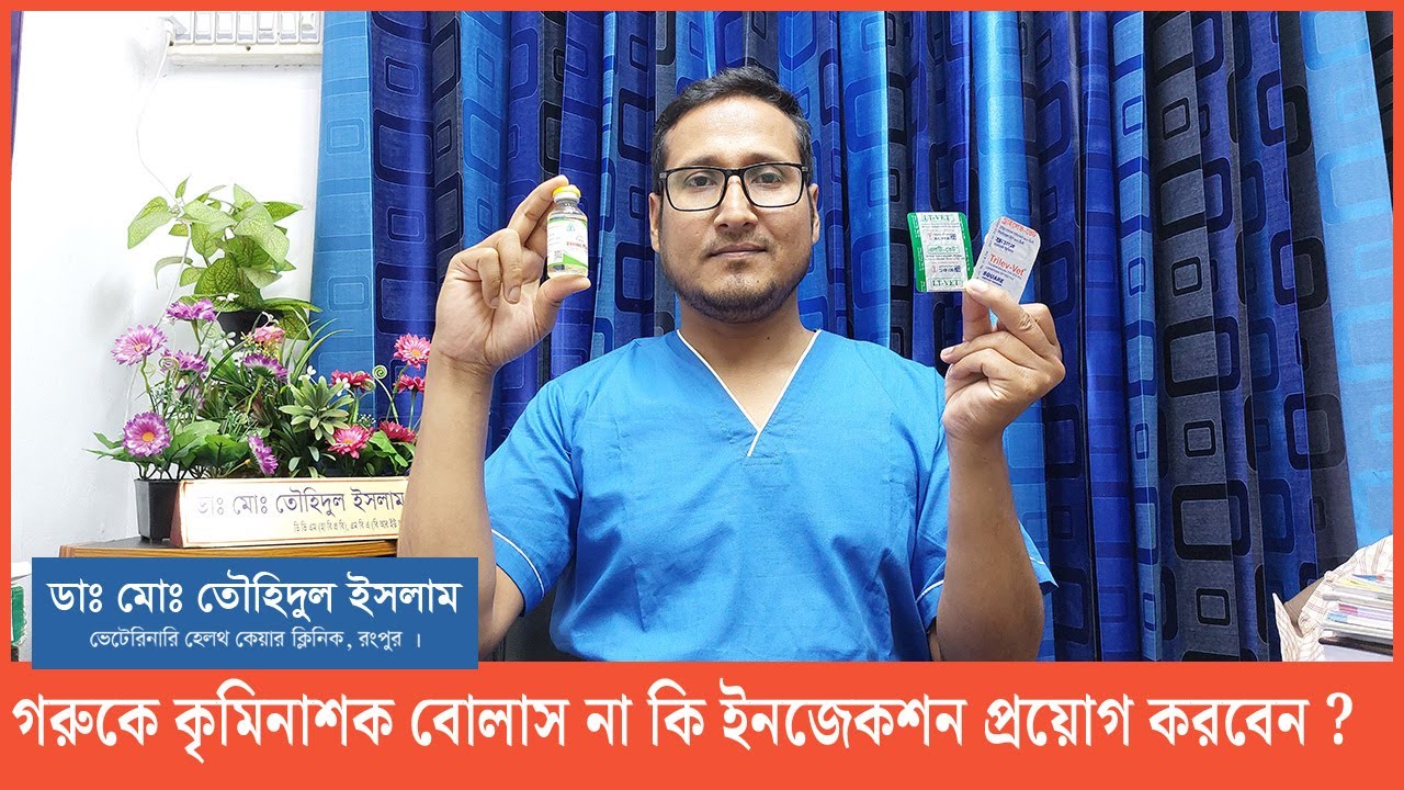 গরুকে কৃমিনাশক বোলাস নাকি ইনজেকশন প্রয়োগ করবেন। Deworming  of cattle | Dr.Touhidul Islam