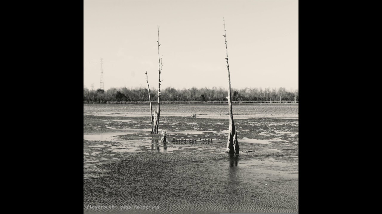 Floy Krouchi - Bywater Bass - Below sea Level (Album 2015)