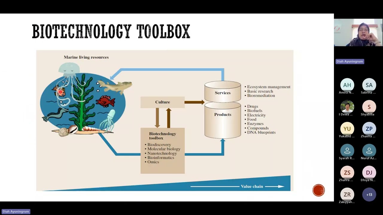 Marine-Derived Pharmaceuticals and Future Prospects: Case Study from Tunicates