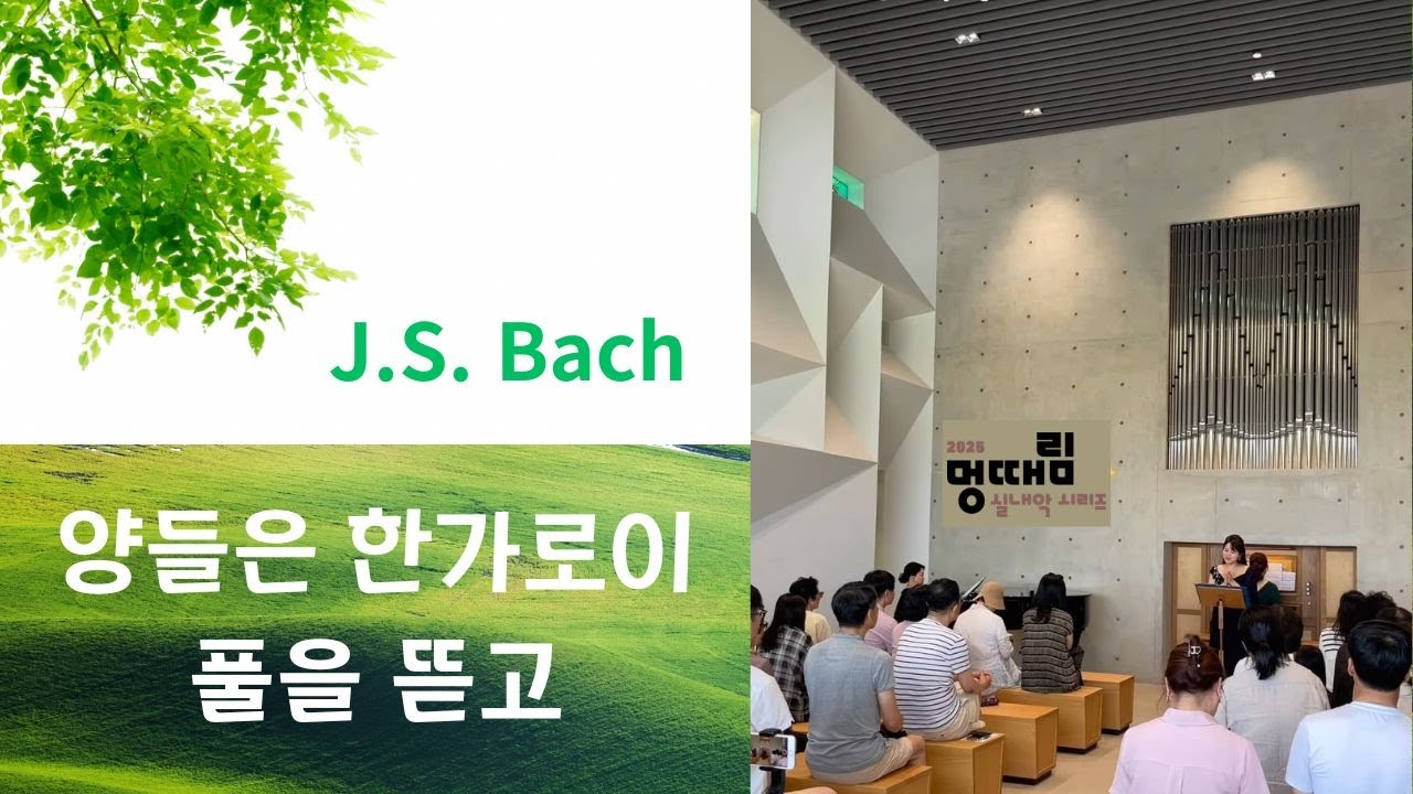 Bach, 양들은 한가로이 풀을 뜯고 - Soprano임경애