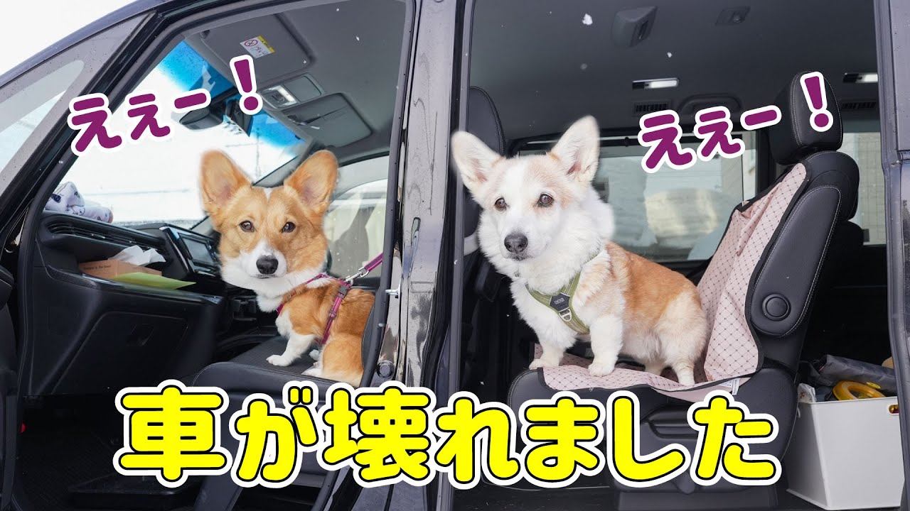 車が壊れてしまいどこにも行けません...こんな時は！