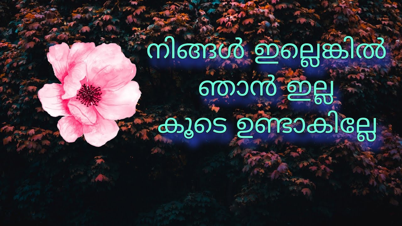 ഓടിവായോ എല്ലാവരും ❤️
