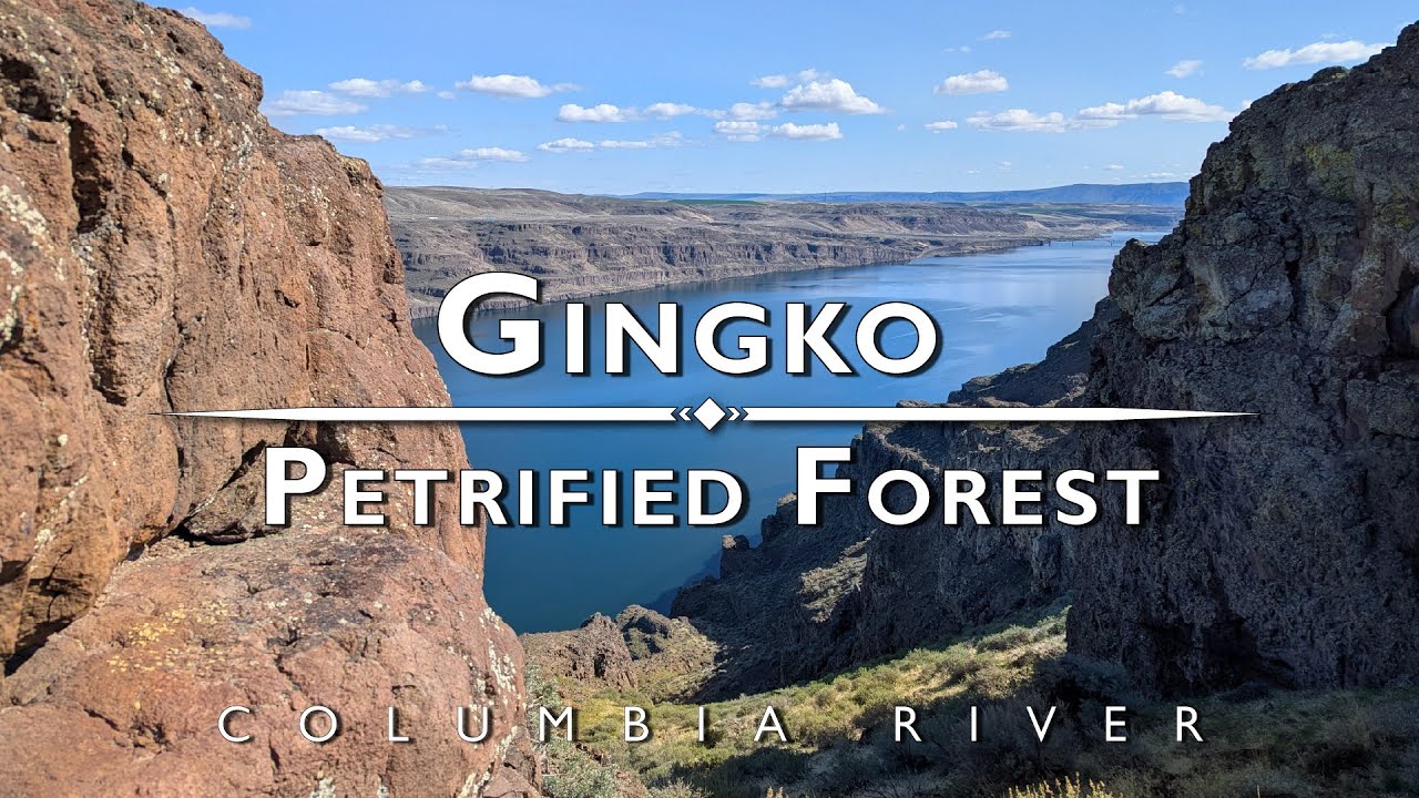 Ginkgo Petrified Forest - Washington State