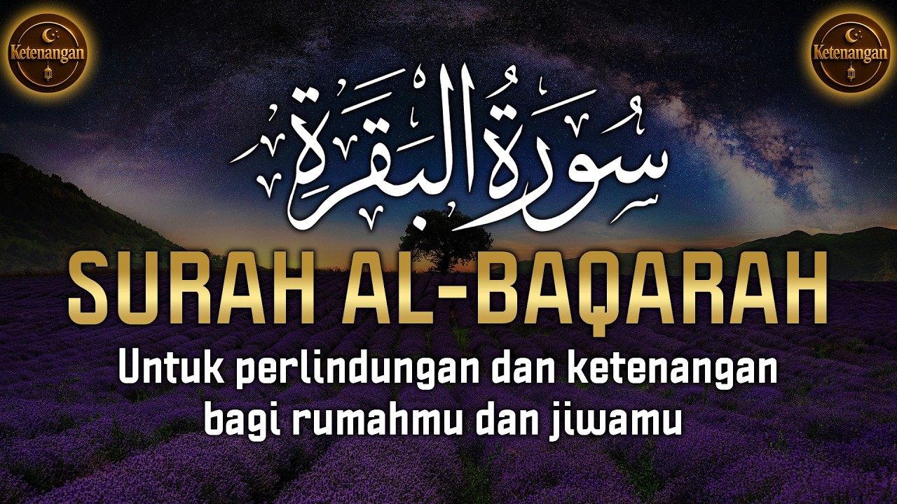 Surah Al-Baqarah untuk mengusir setan 💚 💤 Suara yang membawa ketenangan dan kenyamanan jiwa 😴