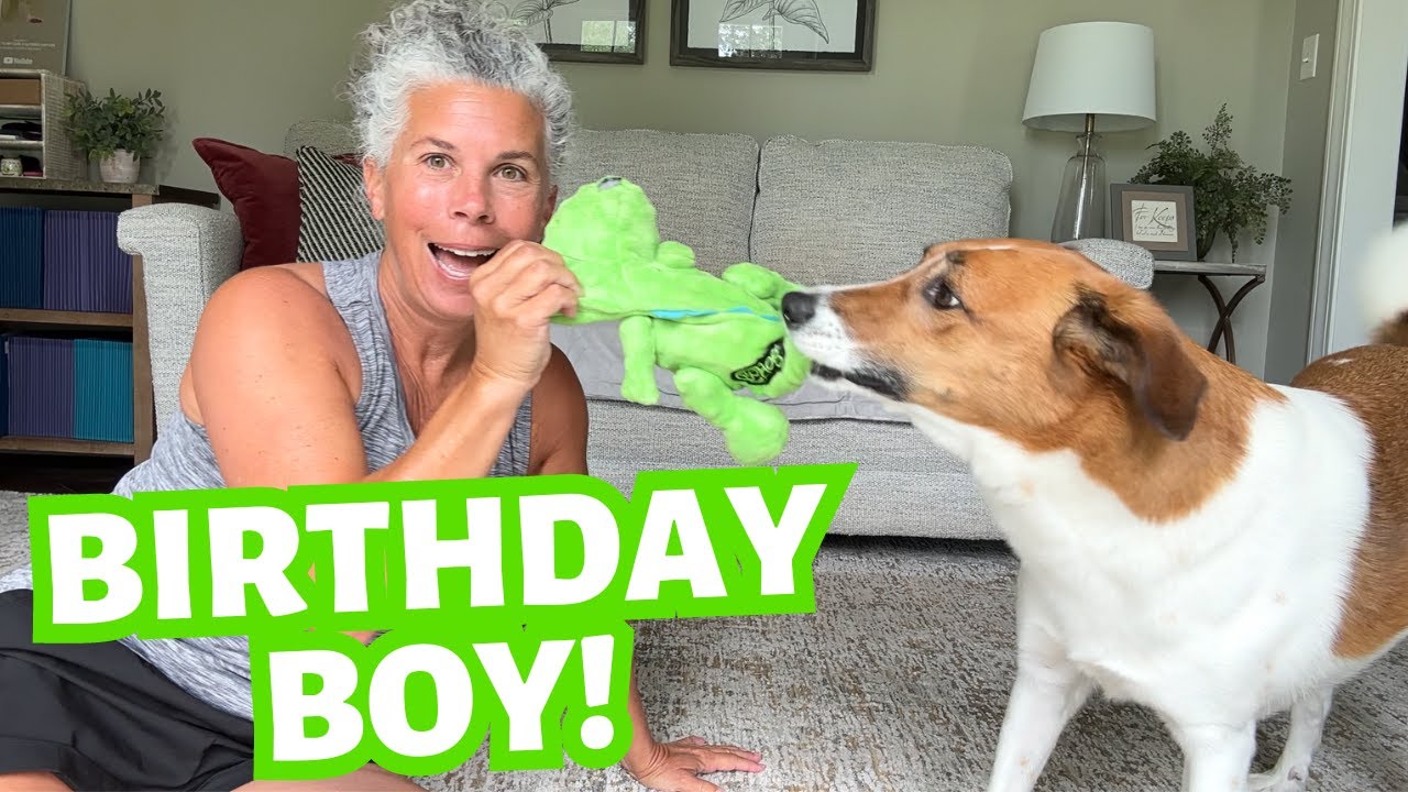 The Best Doggie Birthday Ever!  Celebrating Pollux Our Beloved Rescue Dog