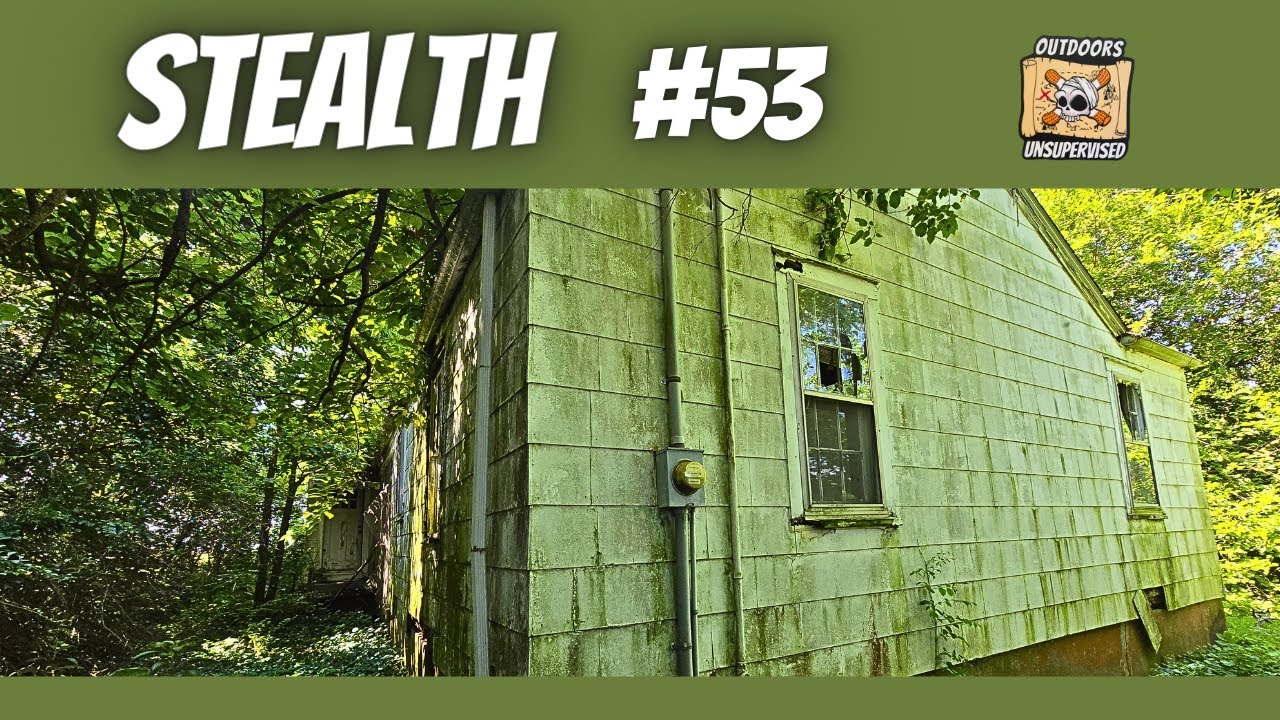 Stealth #53 Abandoned House