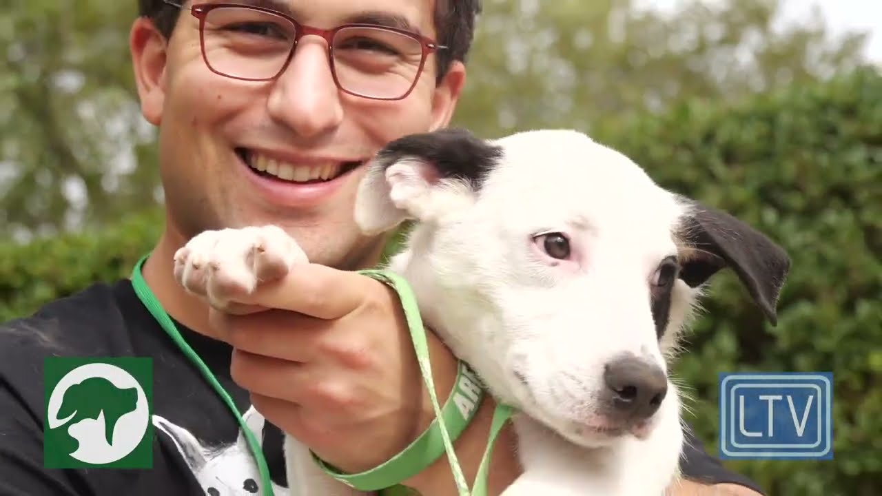 ARF «Прогулка к морю» — лучшие моменты 2025 года.