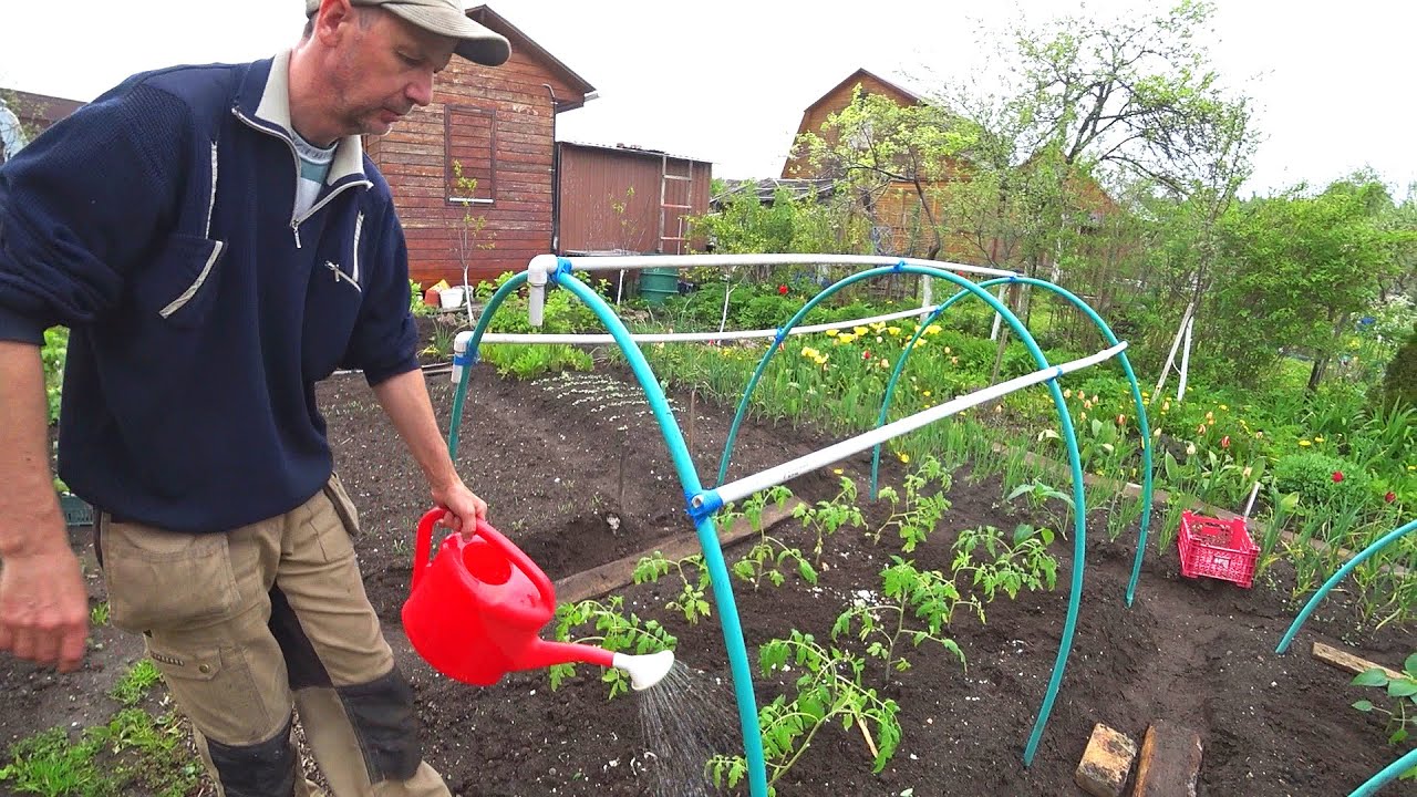 Let's Get it Planted / Change Our Project on the Go / Growing Food in Russia