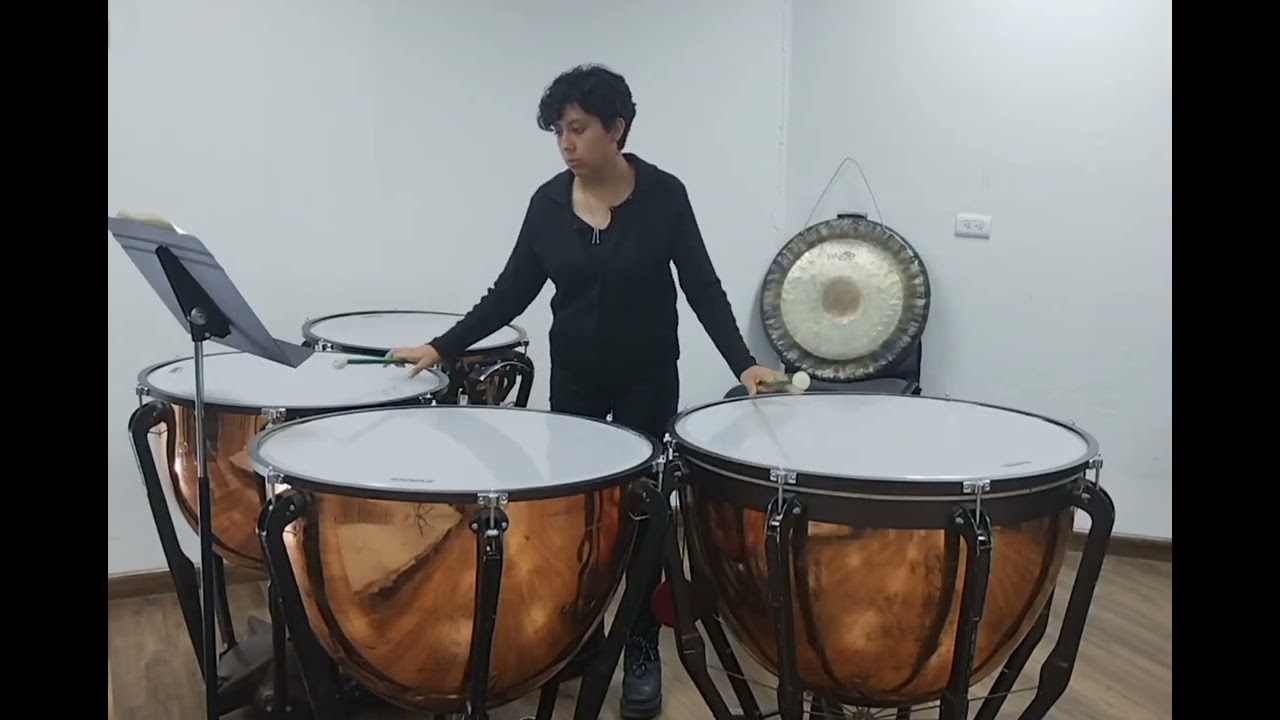 Pieza de Libre Elección Audición Percusión 