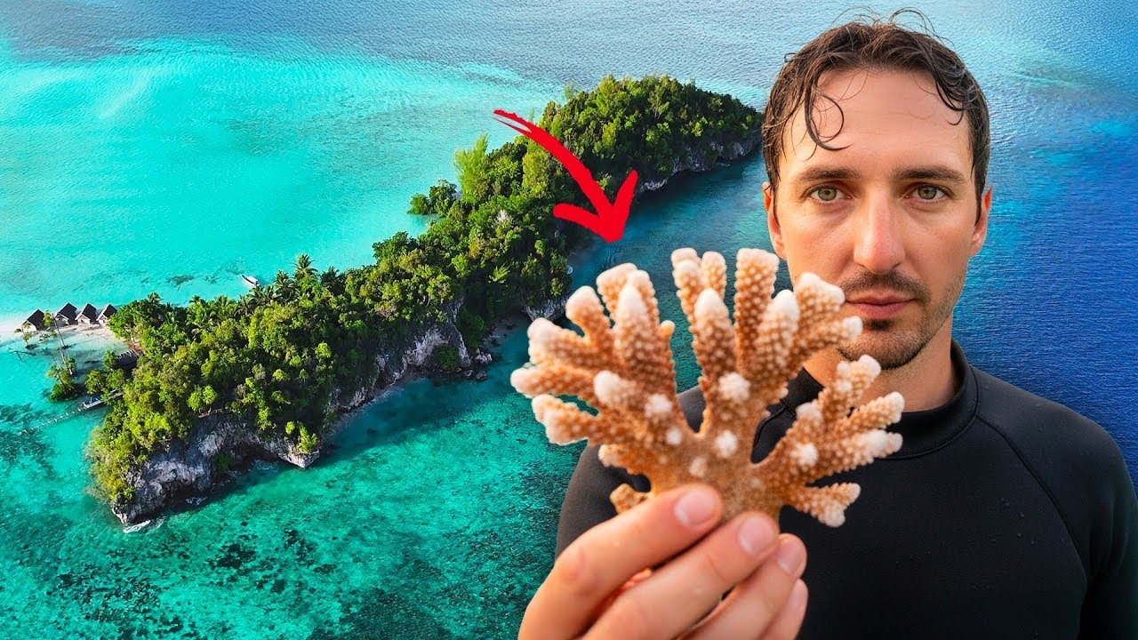 Thought Raja Ampat Was Paradise. We Found a Front Line