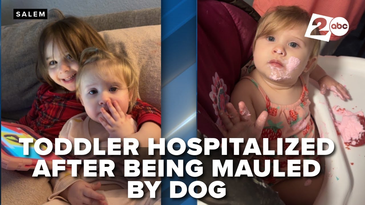 Salem toddler landed in hospital after attack by neighbor's dog