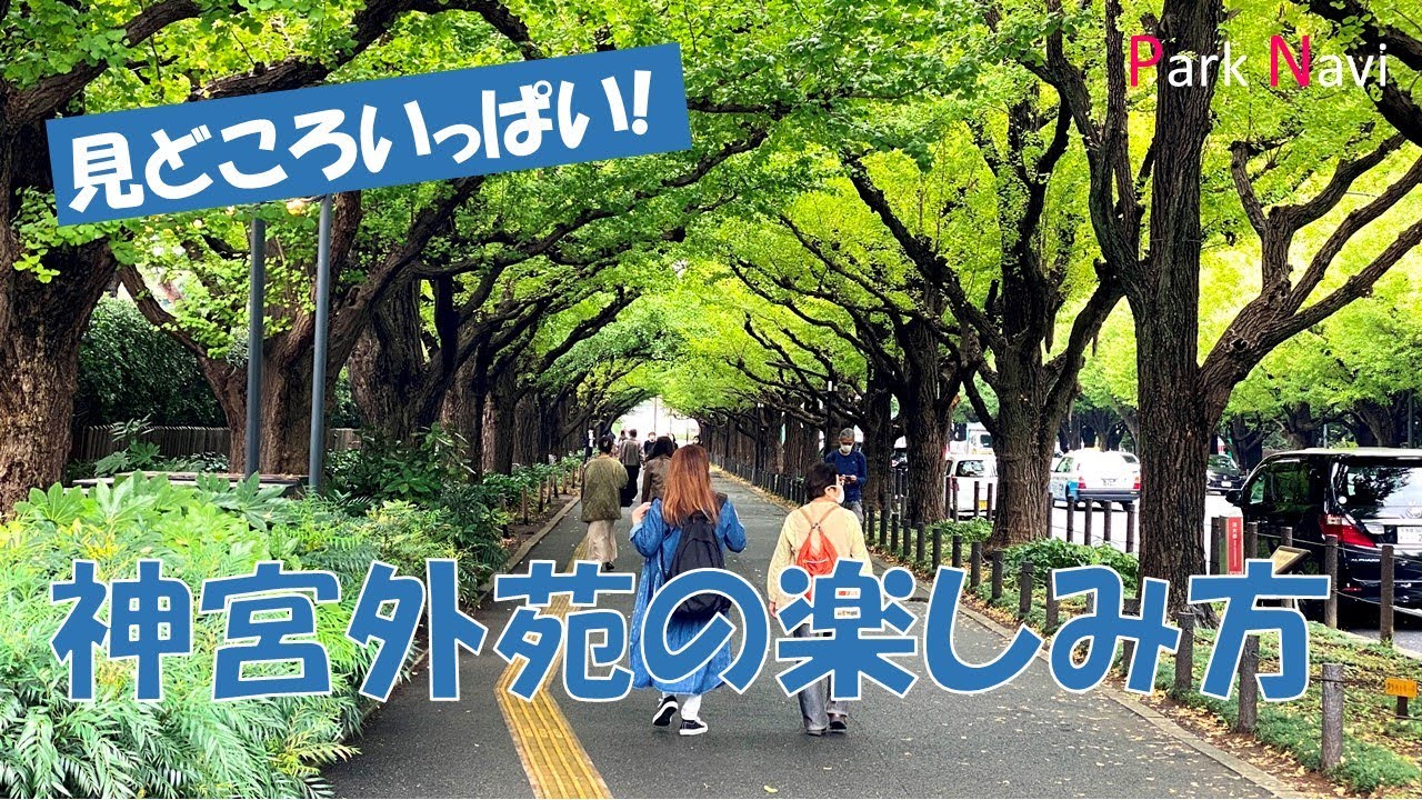 都心で自然に癒やされる！神宮外苑の見どころを紹介