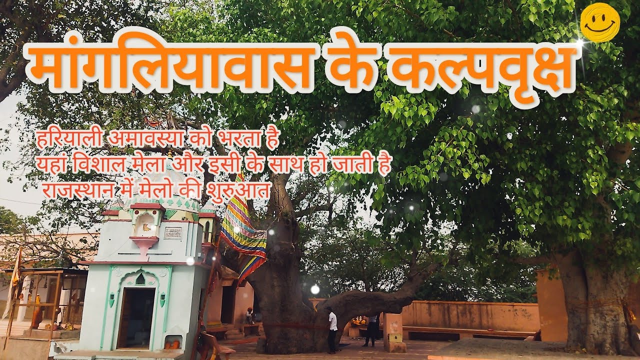 मांगलियावास के कल्पवृक्ष जहाँ हरियाली अमावस्या को भरता है विशाल मेला