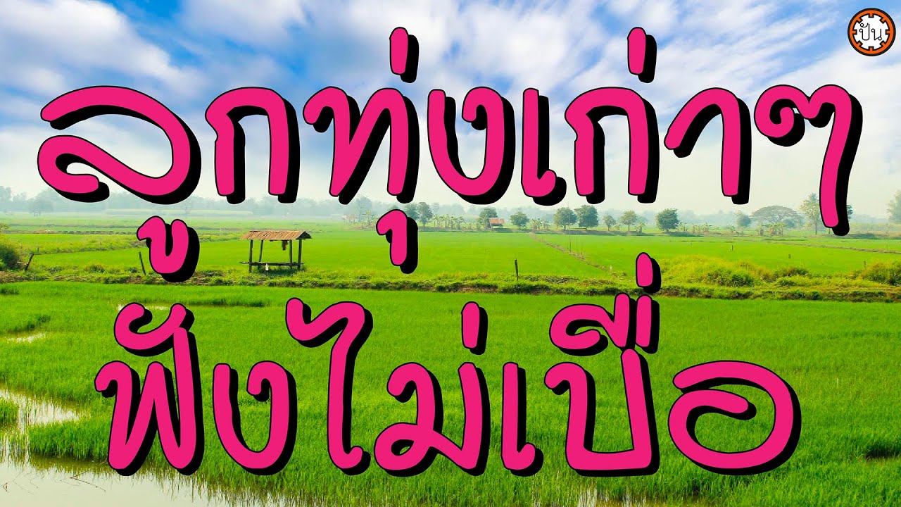 ลูกทุ่งเก่าๆ ฟังไม่เบื่อ เพลงเพราะฟังเพลิน