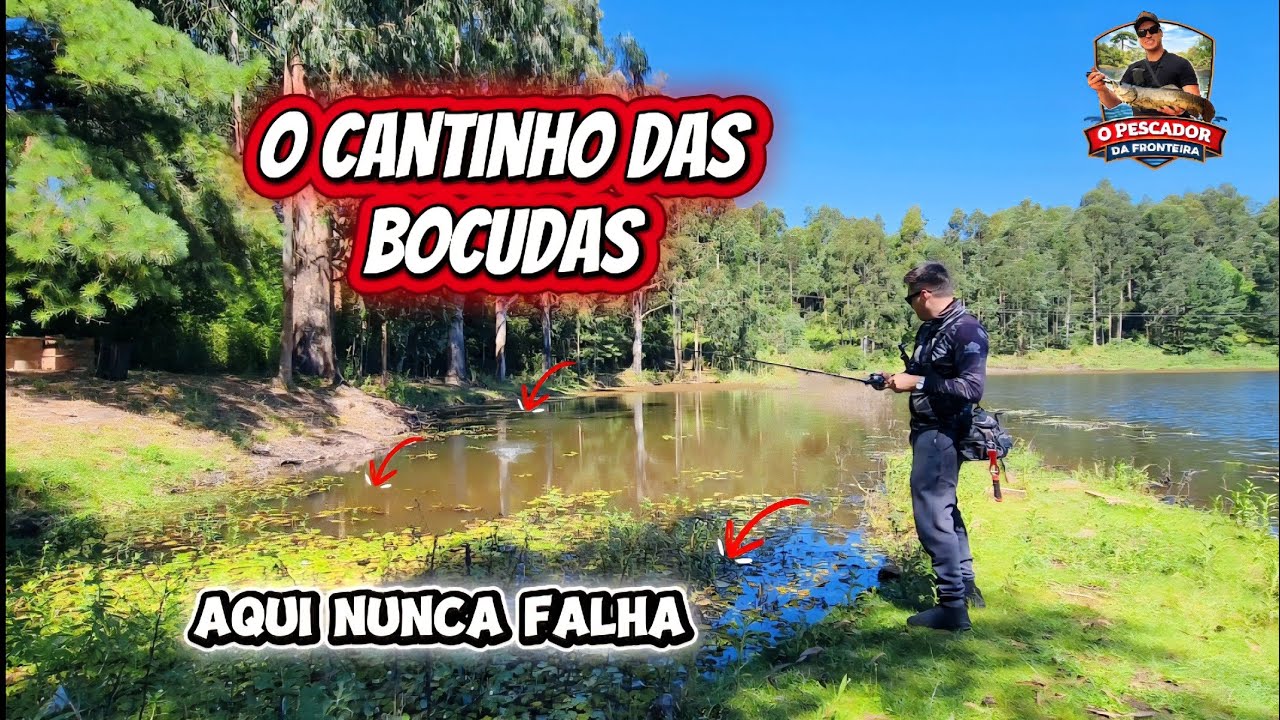 🎣 O CANTINHO DAS BOCUDAS 🔥 AQUI NUNCA FALHA!#TRAÍRAS🐟