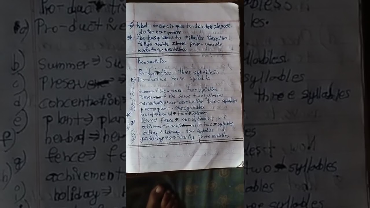 Class 7 English 'My holiday plan ' lesson exercise