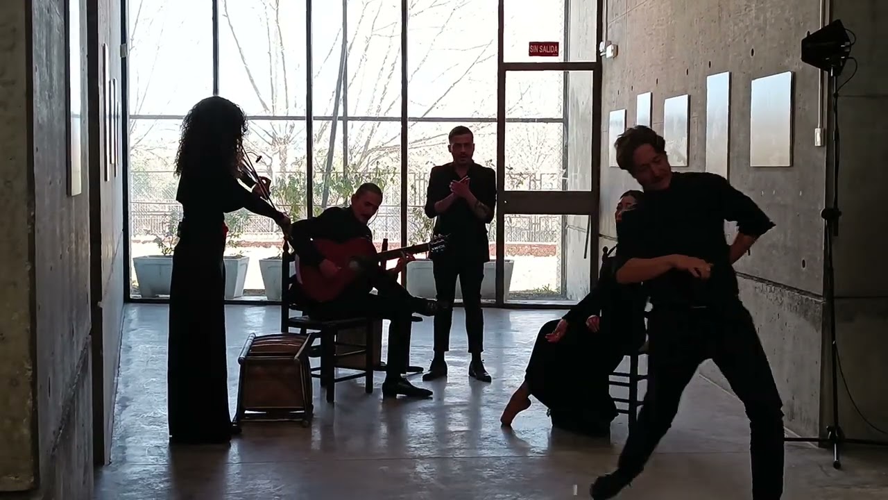 Actuaci&oacute;n de Malucos Danza en Galapagar