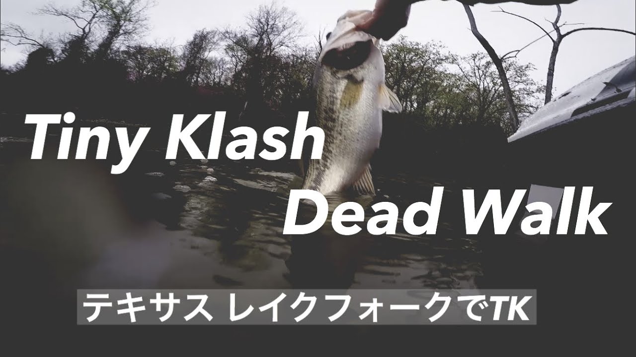 Tiny Klash Dead Walking at Lake Fork in Texas (テキサスでスイムベイト）