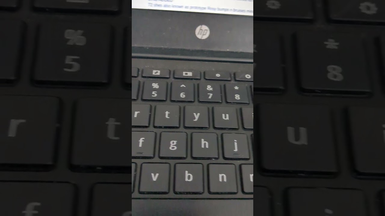 Everything wrong with lalaloopsy fanon wiki parody to cinemasins (Spoilers Duh) 