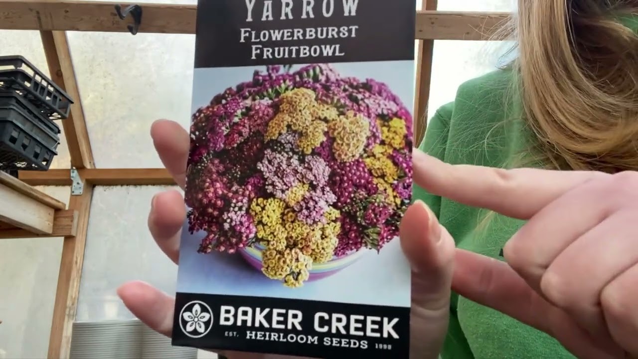Preparing 2,700 Flowers For My Hummingbird Friends