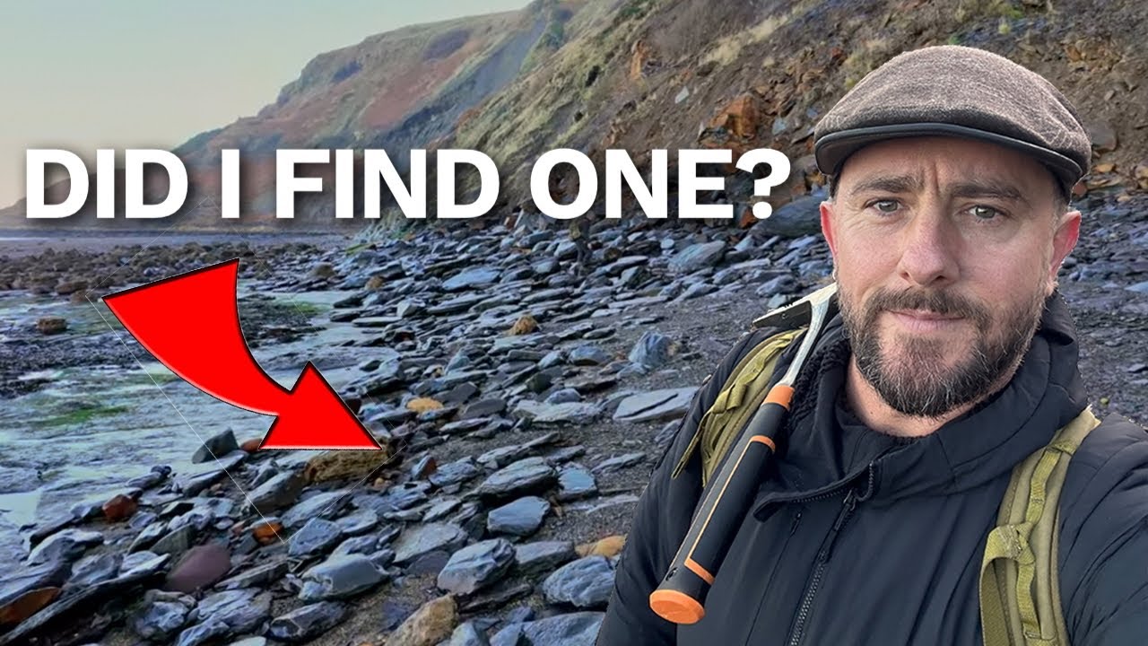 Fossil Hunting on the Yorkshire Coast | The Legend of St Hild