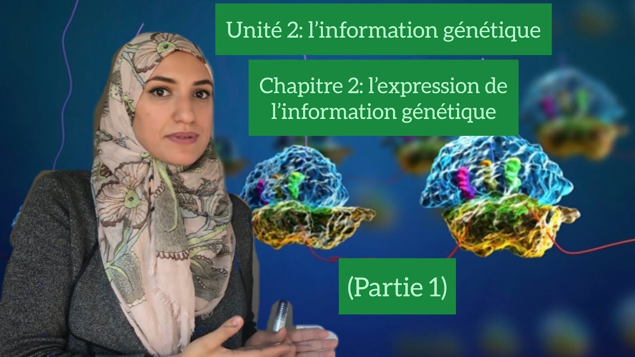 Unité 2/chapitre 2:l’expression de l’information génétique/gène, allèle,mutation. (Partie 1)