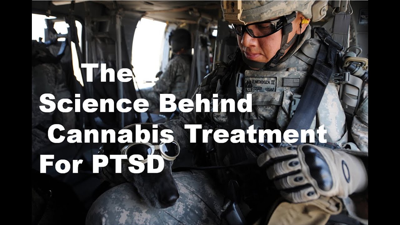 The Science Behind Cannabis Treatment for Post-Traumatic Stress Disorder (PTSD)