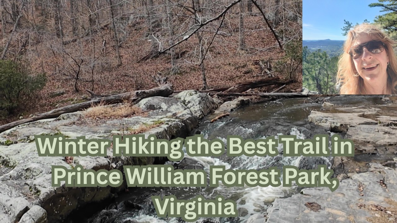 4K Virtual Winter Hike in Prince William Forest Park