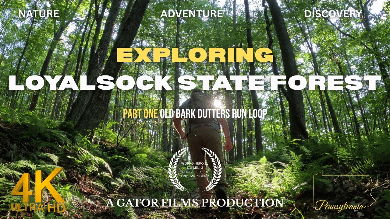 Exploring the Loyalsock - Wet Trails and Waterfalls!