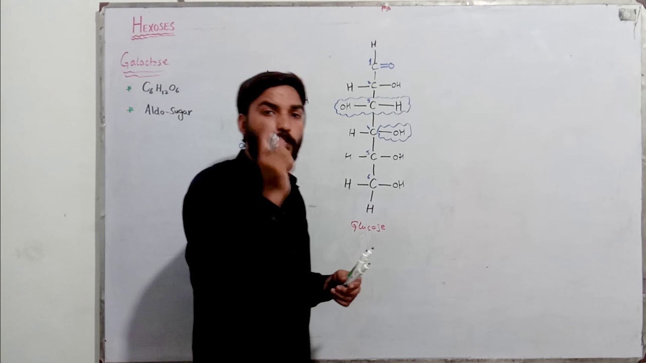 Galactose| Structural Formula of Galactose | MDCAT | FSc | Neet | Dr. Shakeel Ansari