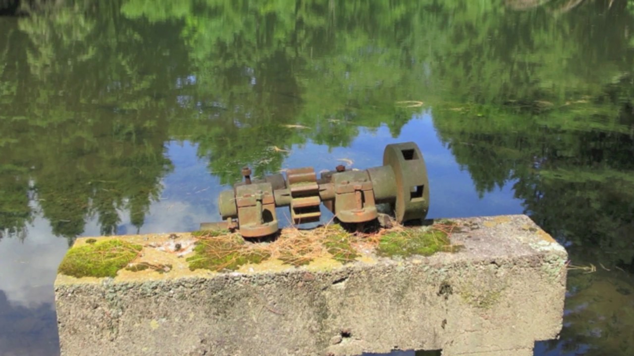 david dunn-chaos and the emergent mind of the pond