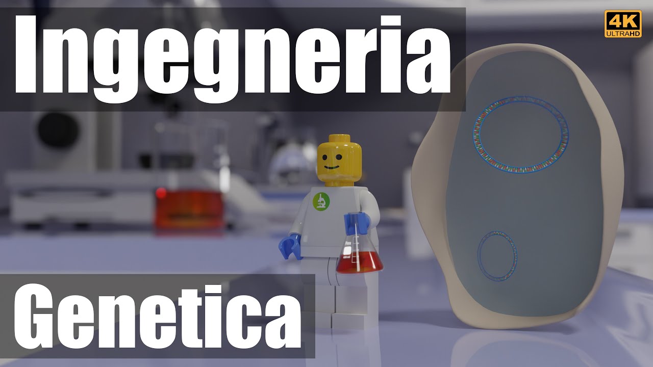 Ingegneria genetica: modifica e clonaggio del DNA.