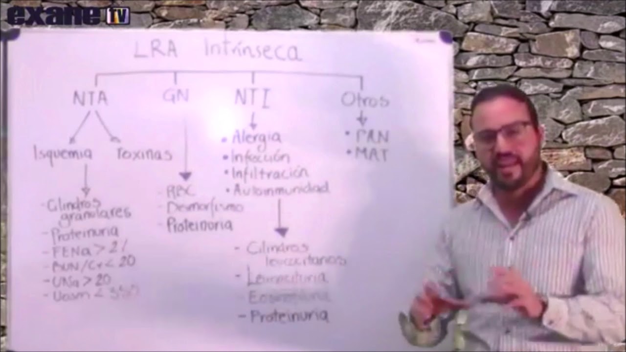EXANE TV - Lesión renal aguda. Pre, Post e intrínseca.