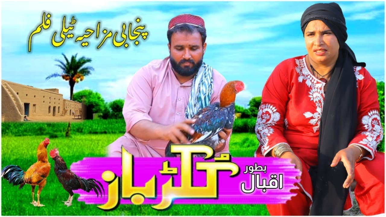 Kukkad Baaz | Punjabi comedy | drama clip | Funny Video | MB TV 4K | 2023