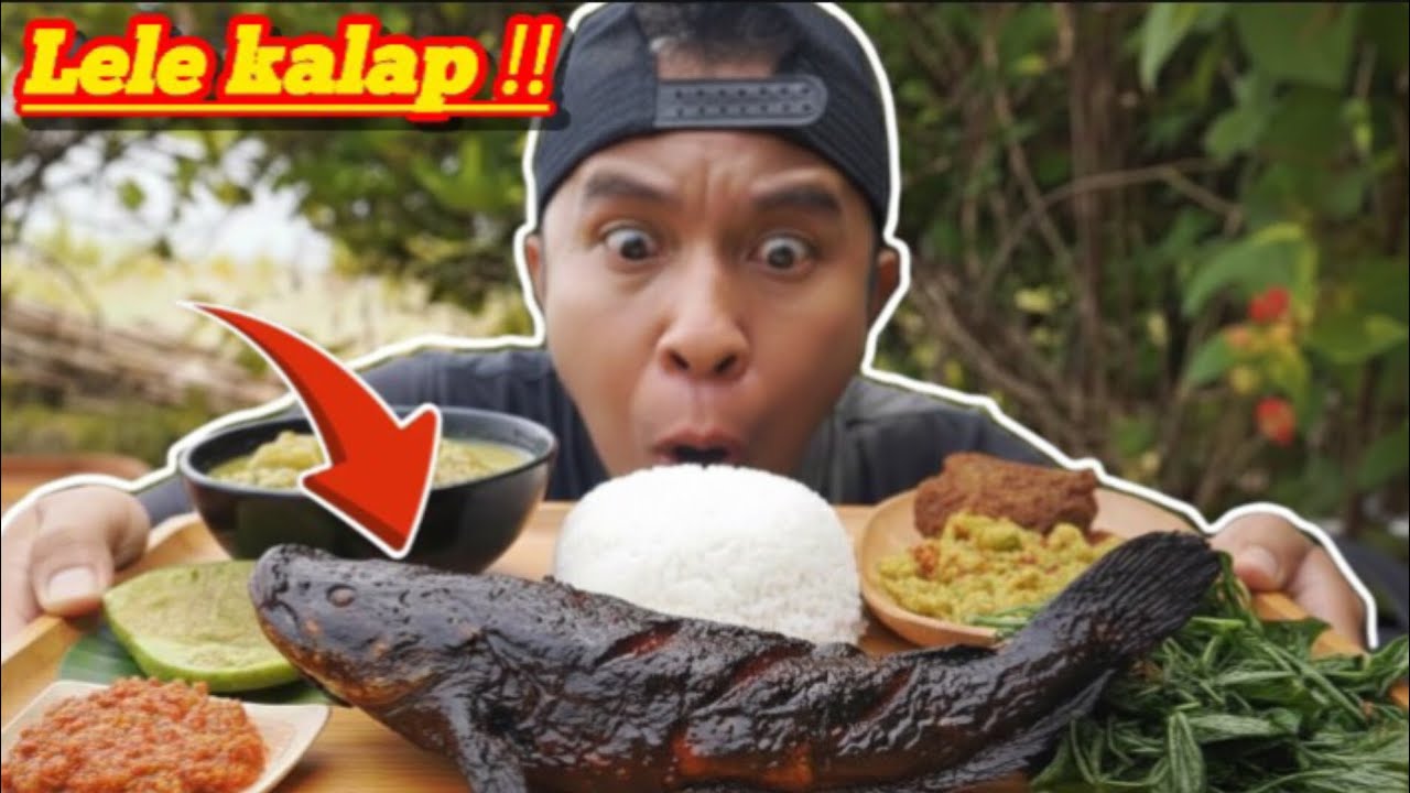 NASI PADANG IKAN LELE MURAH ENAK 