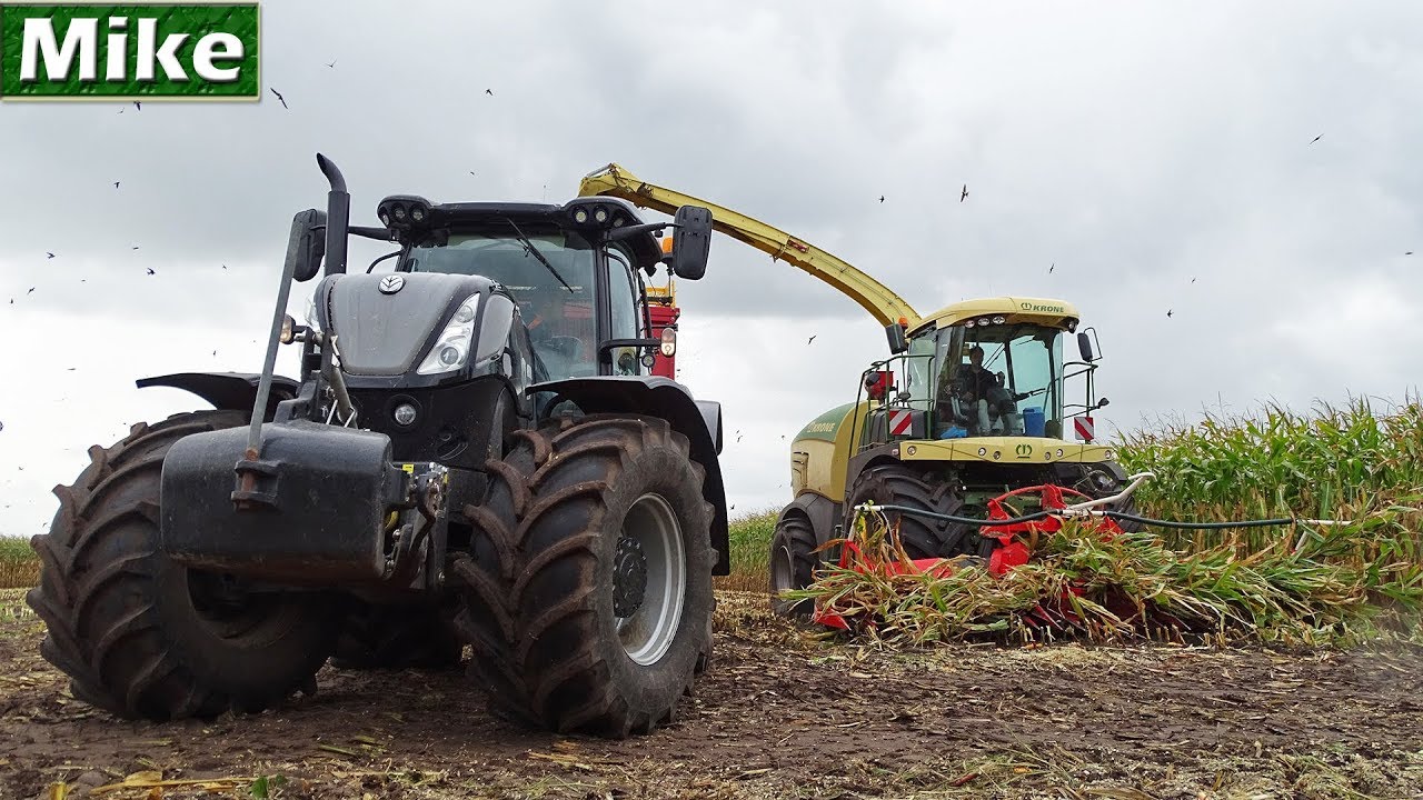 Mais hakselen 2018 | Krone BiG X 530 | Black New Holland T7.230 | Bijker | Vicon | Havelte | NL.