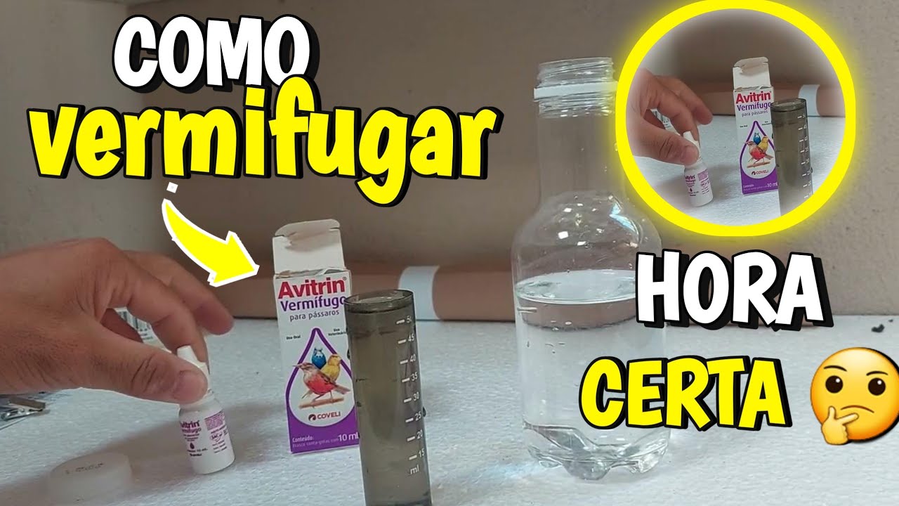 como vermifugar aves 🐦 | qual o tempo certo ✅️ e por quanto tempo !!!
