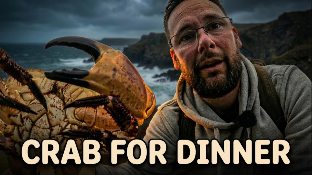 Настоящая находка на побережье | Краб на ужин
