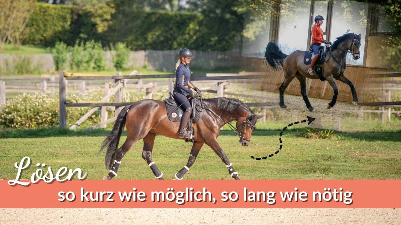 Das Pferd lösen - so kurz wie möglich, so lang wie nötig