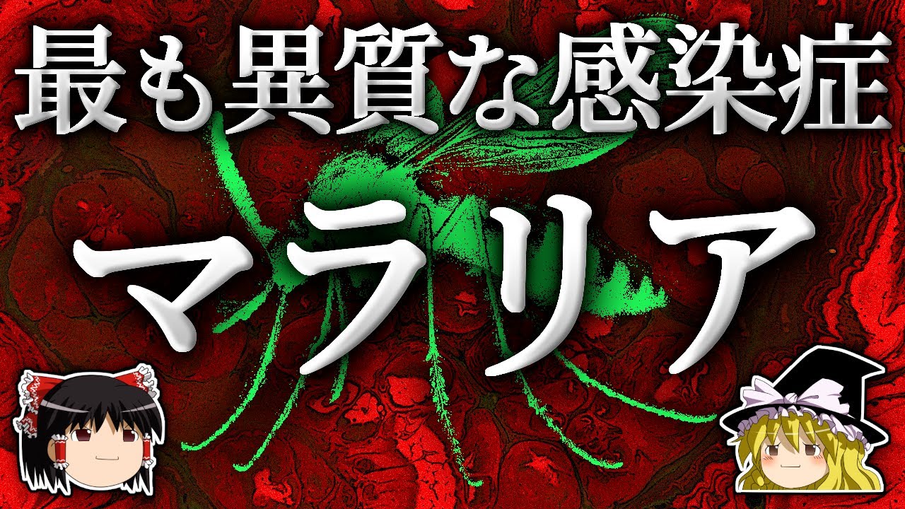 なぜ人類はマラリアから逃れる事ができなかったのか？【ゆっくり解説】