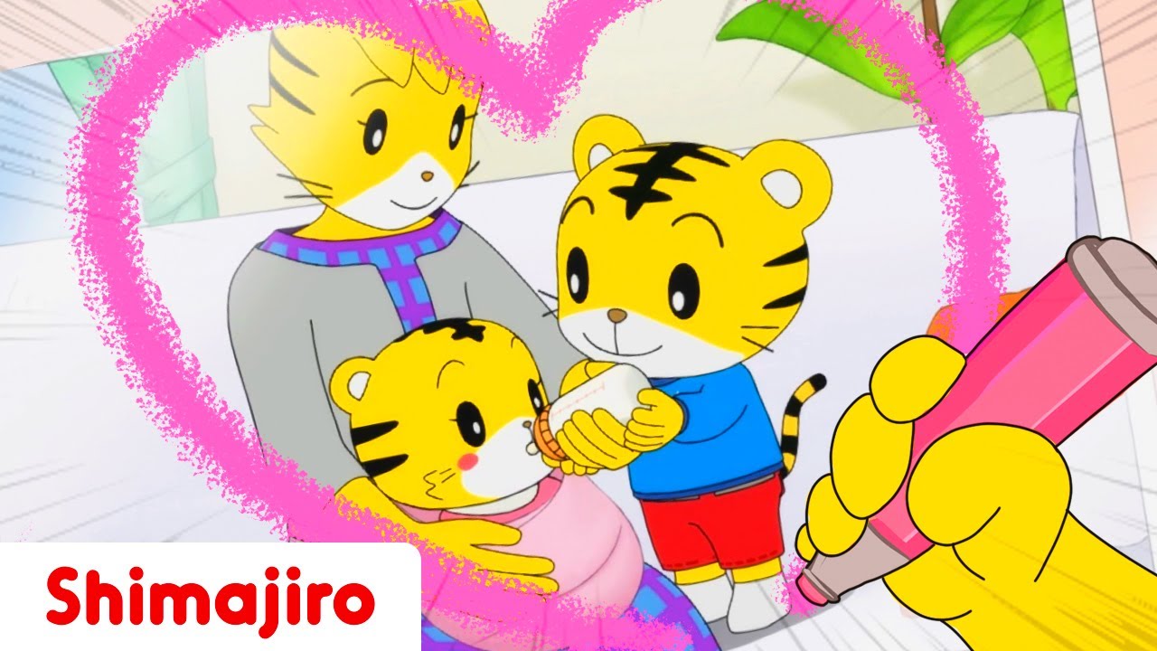 Hannah's Birthday! - Family time with Shimajiro! - The power of family special compilation